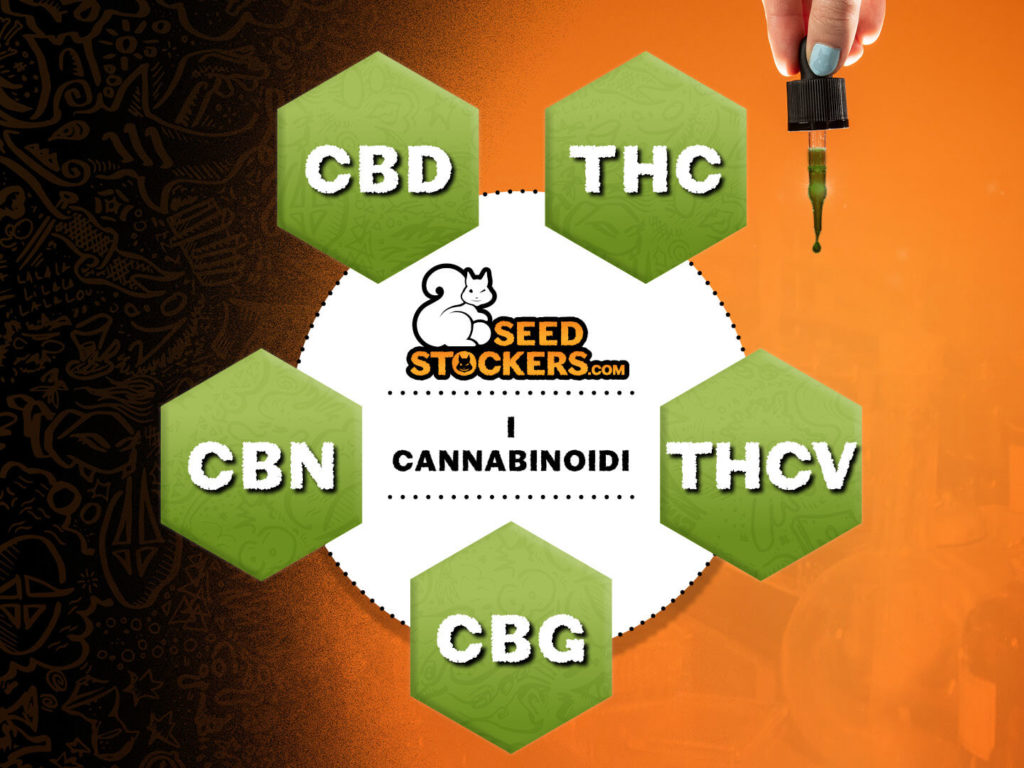 i cannabinoidi