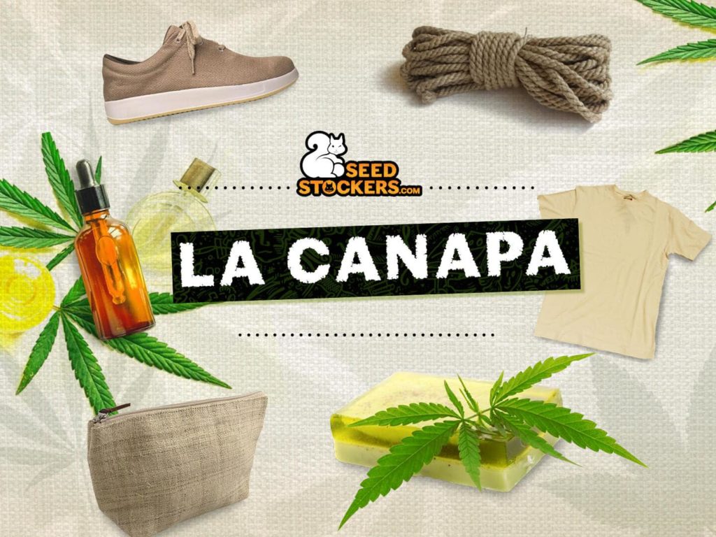 la canapa la canapa