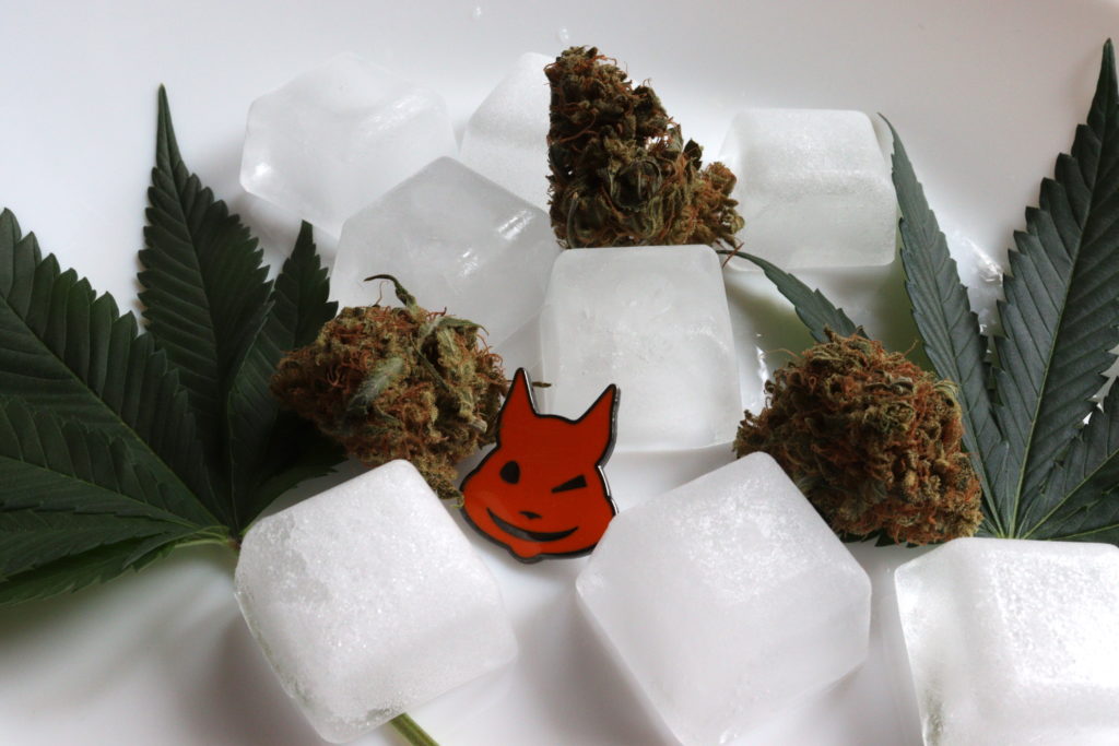 can you freeze weed can you freeze weed