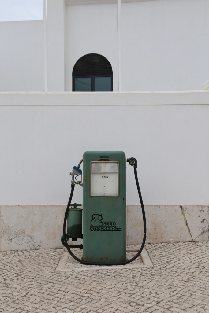 hemp fuel hemp fuel