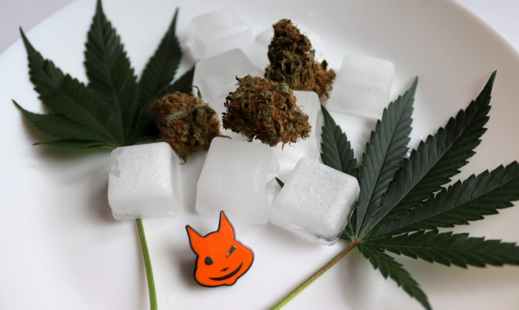 weedstockers-congelamento-cannabis