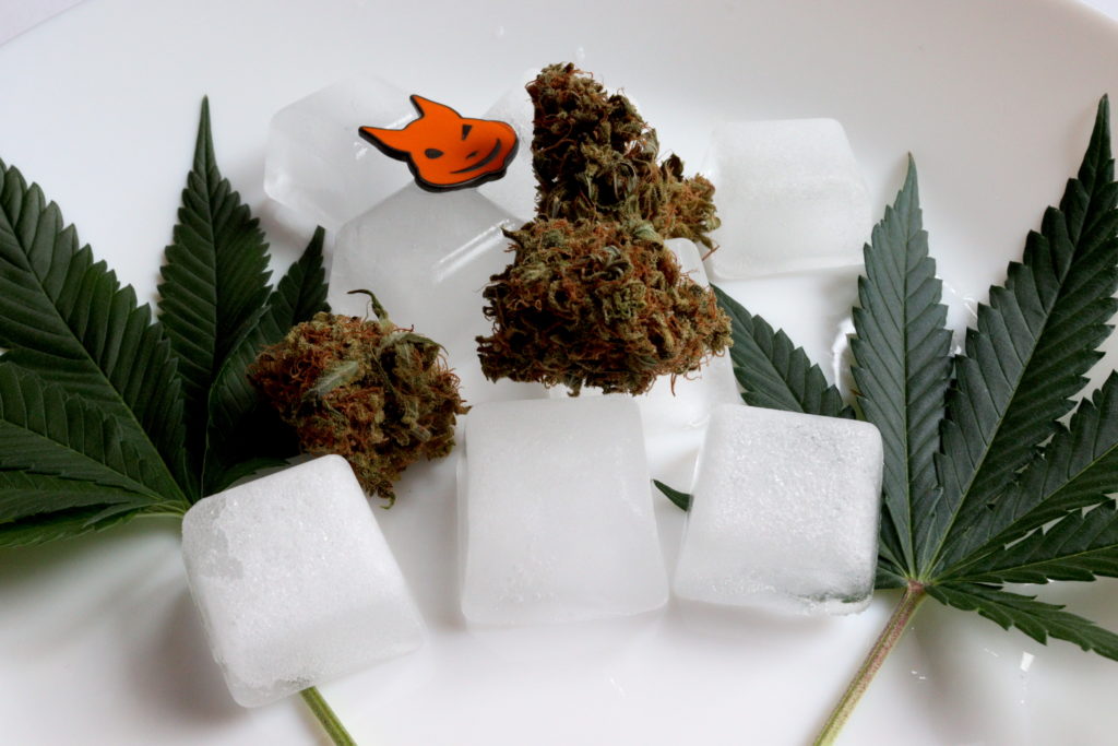 congelare le foglie di cannabis