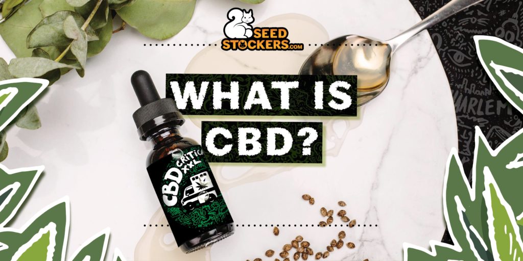 what-is-CBD