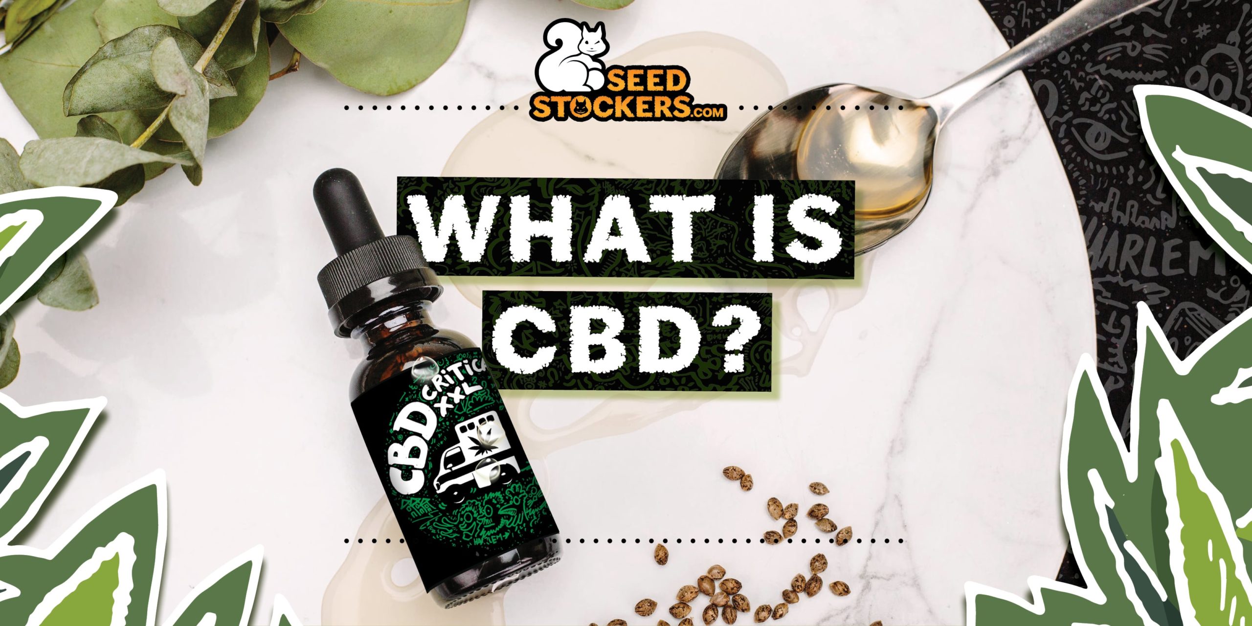 What is CBD?