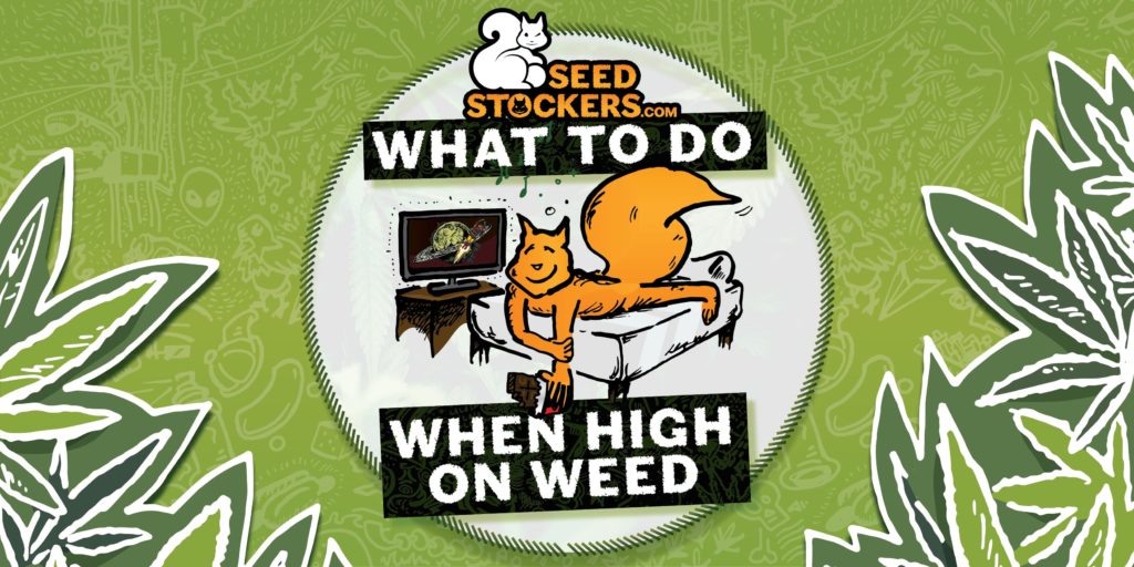 what-to-do-when-high-on-weed