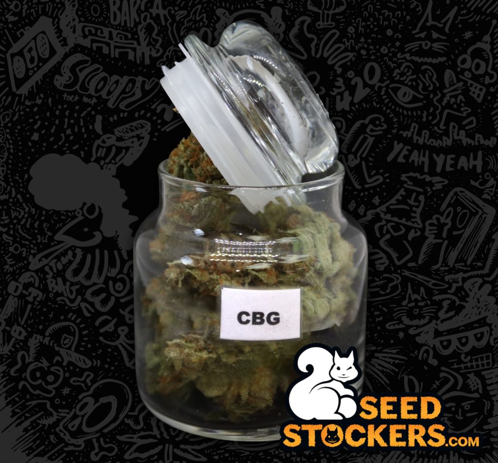 what is CBG what is CBG