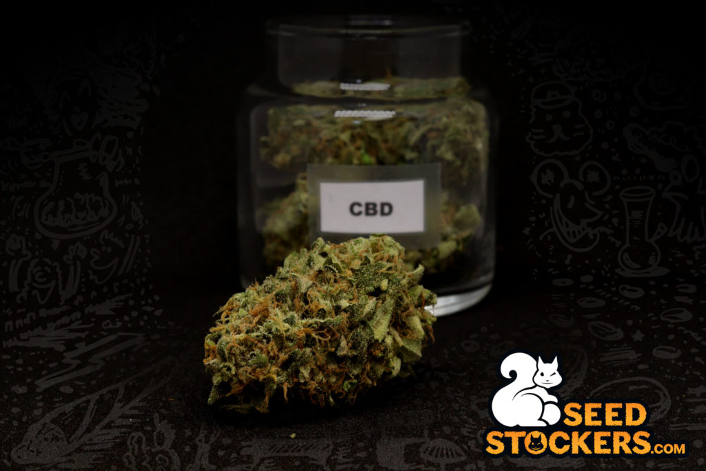CBD