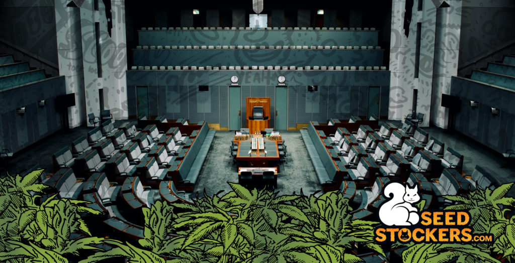 Senato degli Stati Uniti