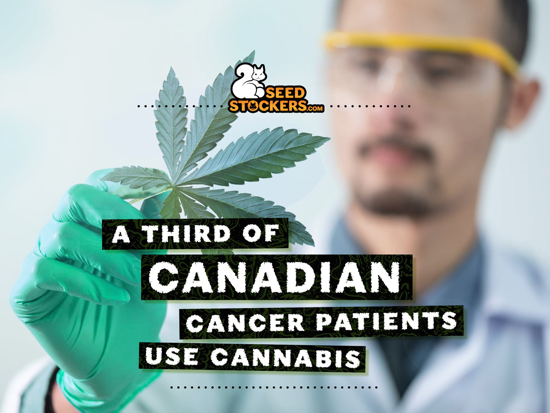 cancro e cannabis