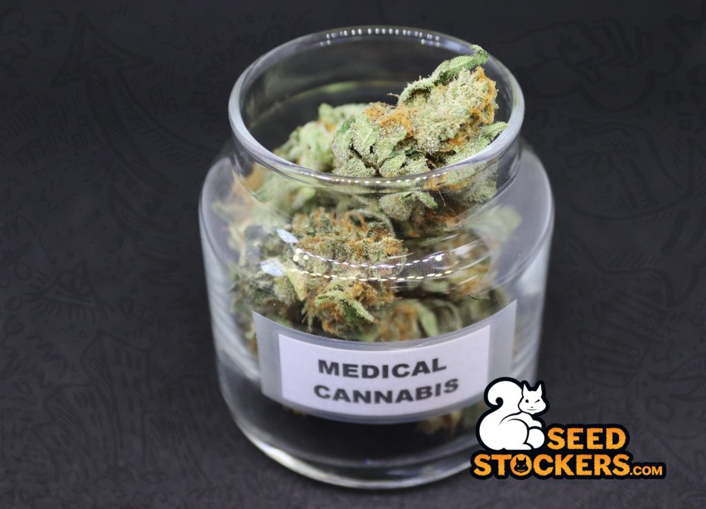 medical cannabis medical cannabis