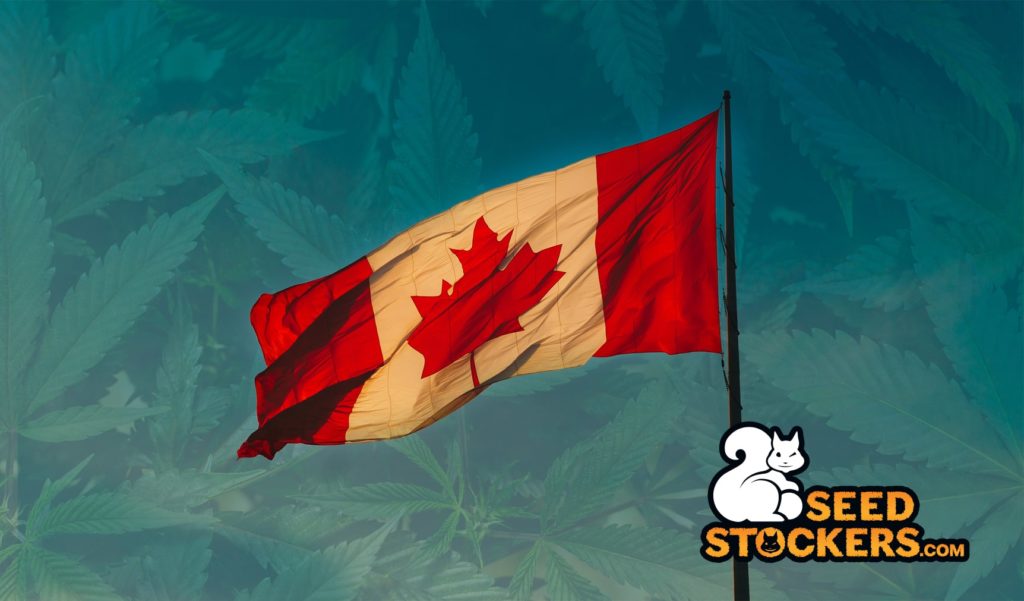 bandiera del canada bandiera del canada