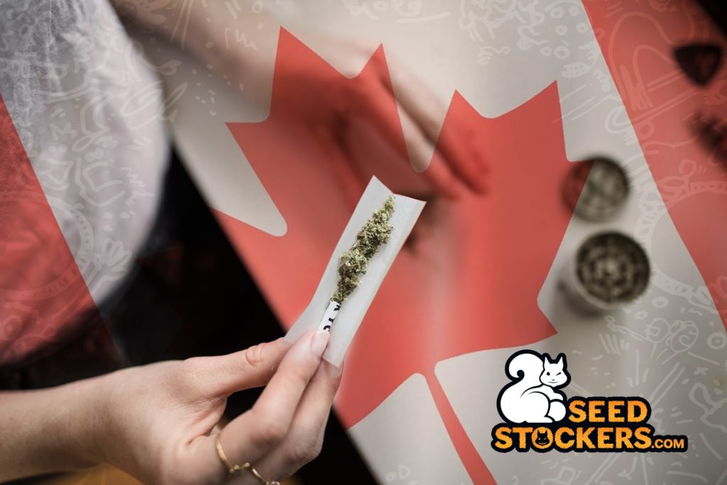 cannabis canada cannabis canada