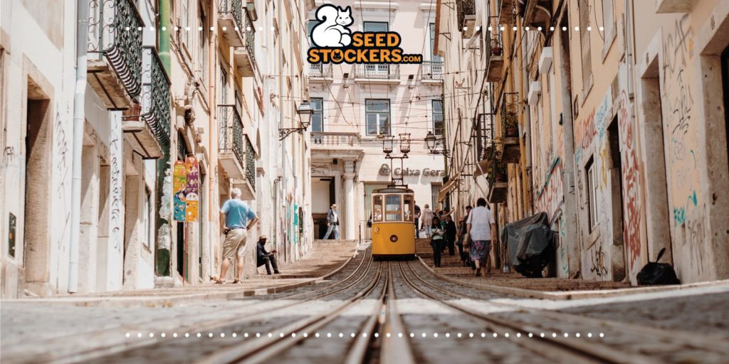 Portugal left and liberal parties for an adult-use legalization on cannabis