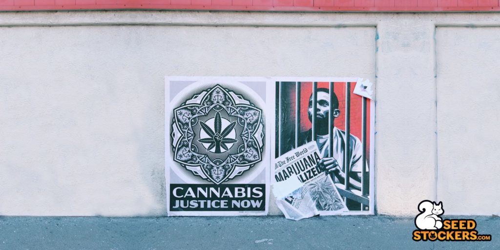 cannabis-legalisation-portugal