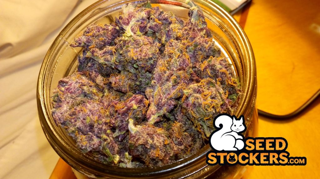 eating marijuana eating marijuana
