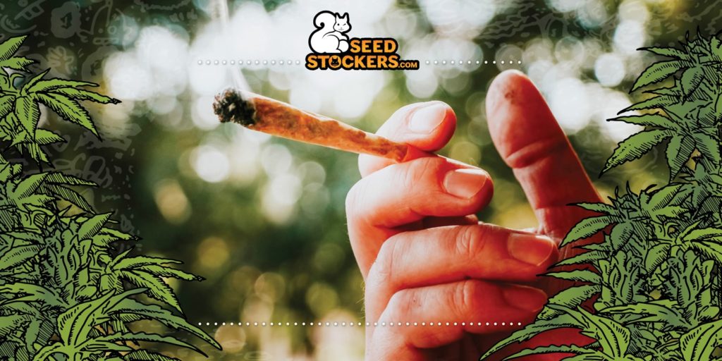 what are effects of weed what are effects of weed