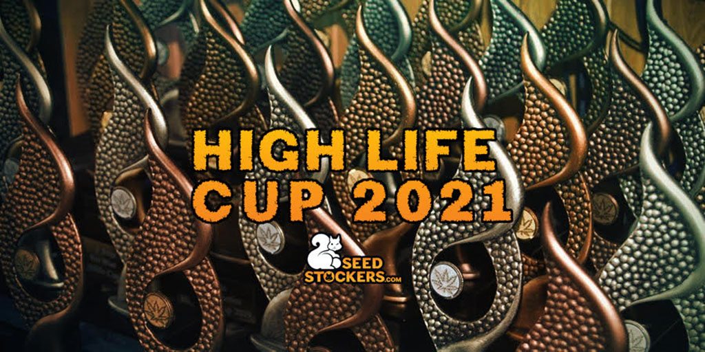 Seedstockers wins 2 Highlife awards by Soft Secrets