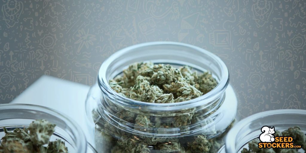 cannabis-glass-jar