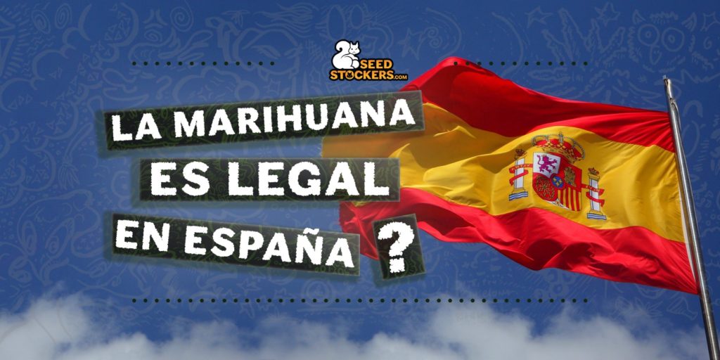 la marihuana es legal en españa la marihuana es legal en españa