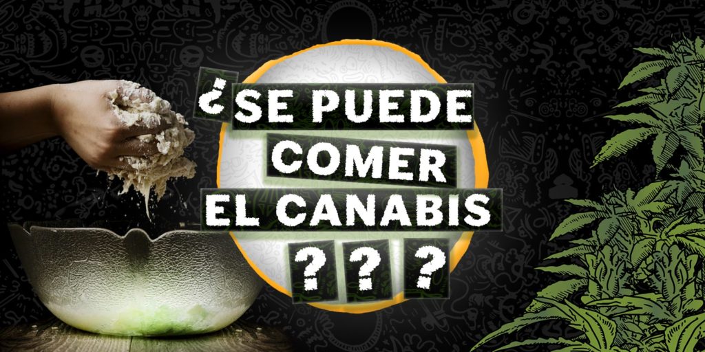 se puede comer el cannabis