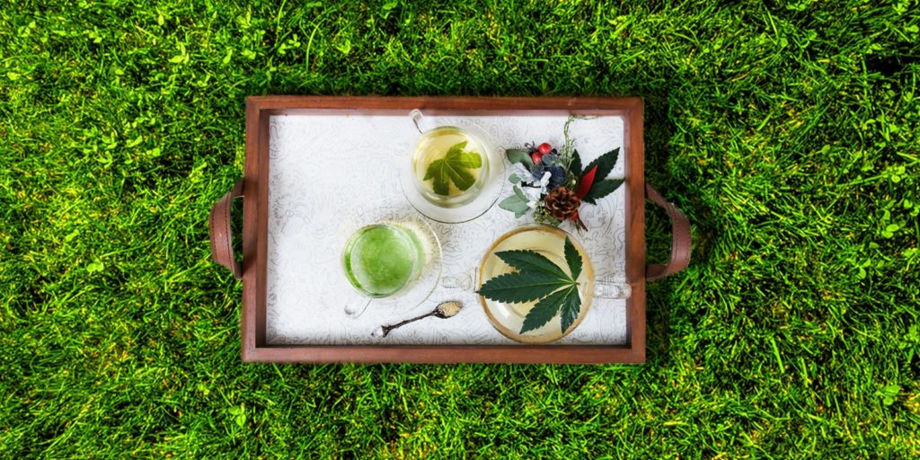 te e infusion de cannabis