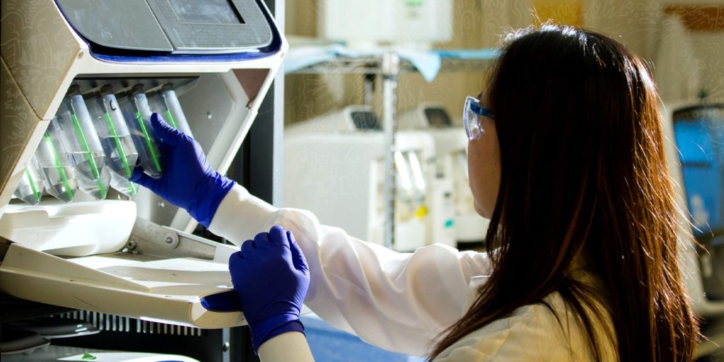 lab
