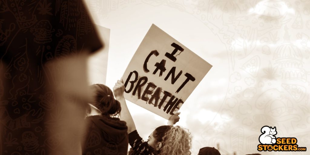 black lives matter connecticut black lives matter connecticut