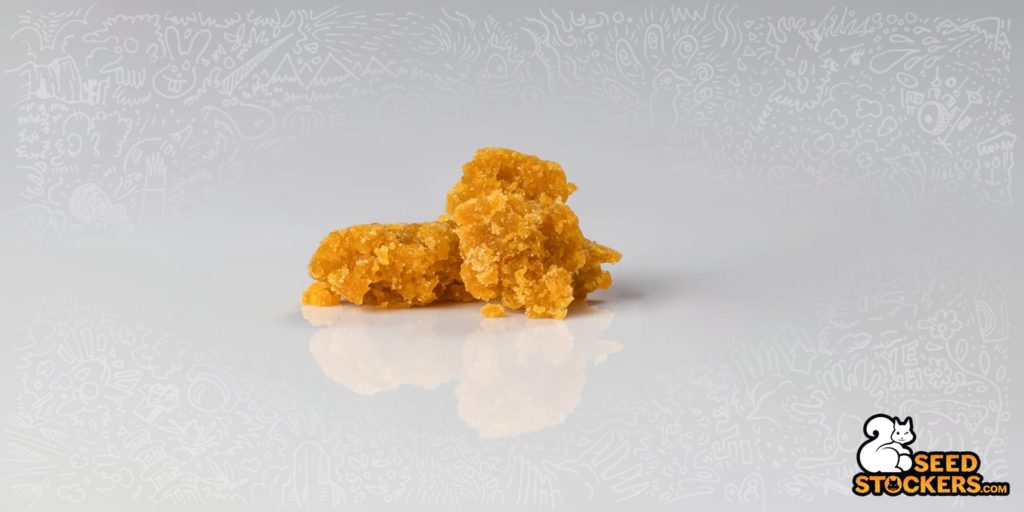 concentrados de cannabis