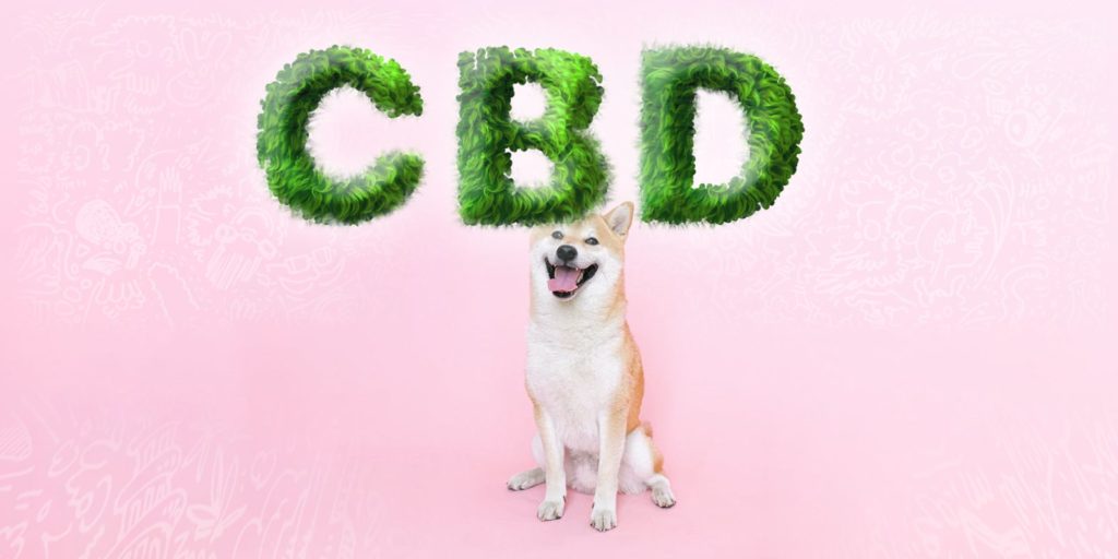 cbd for pets cbd for pets