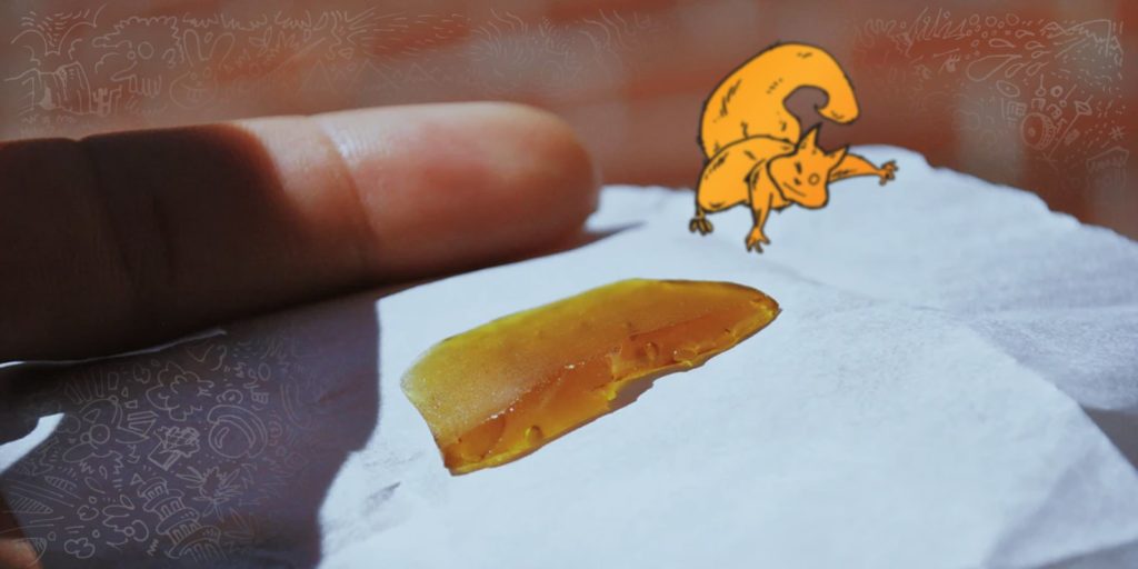 cannabis concentrates