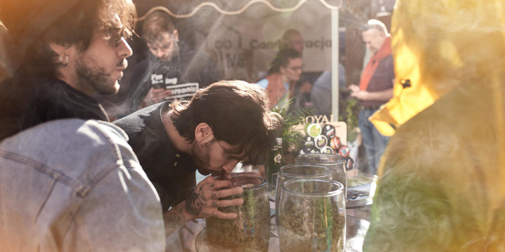 kanabafest-stand-seedstockers