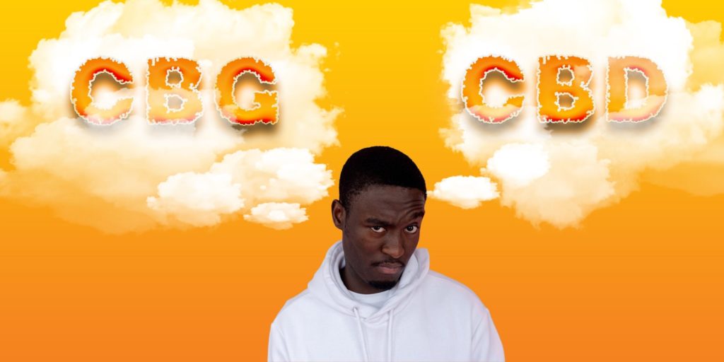 CBD_VS_CBD_wich_one