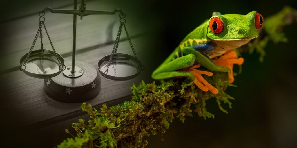 is-marijuana-legal-in-costa-rica