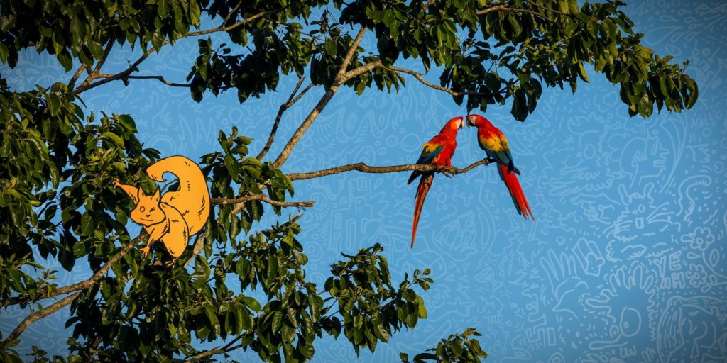 costa-rica-parrots