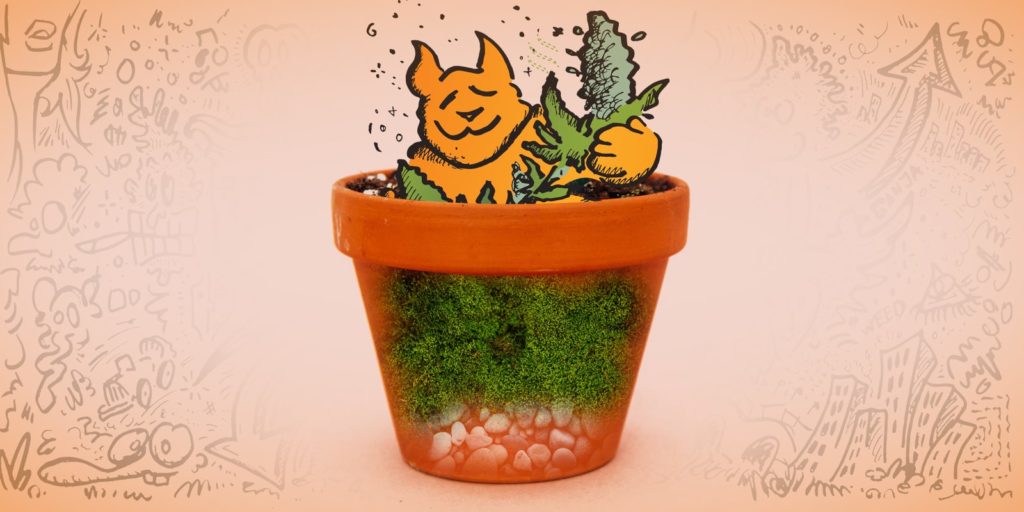 Choosing the best soil to grow cannabis
