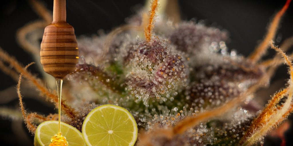 cookies-variedad-cannabis