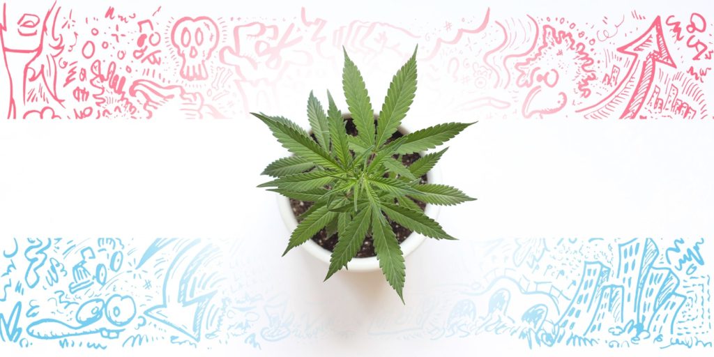 Una medida contra el mercado ilegal y los delitos por drogas