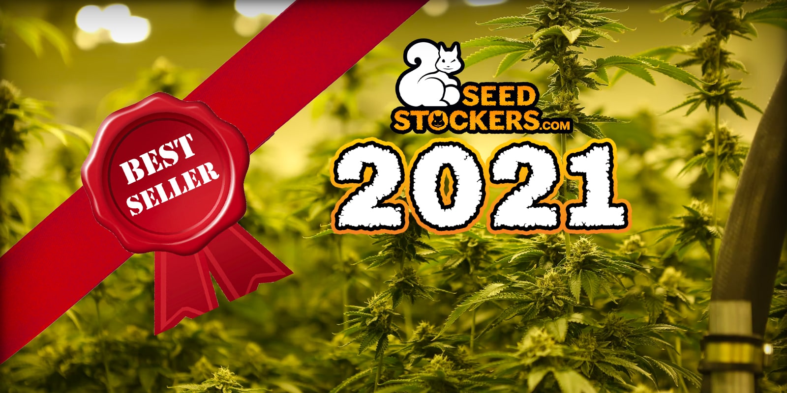 The best Seedstockers strains of 2021: the best-selling cannabis genetics