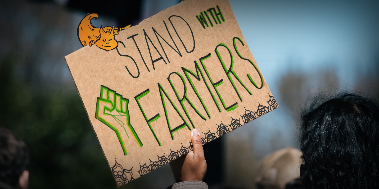 The EU restores to 0.3% the authorised THC level on agricultural hemp