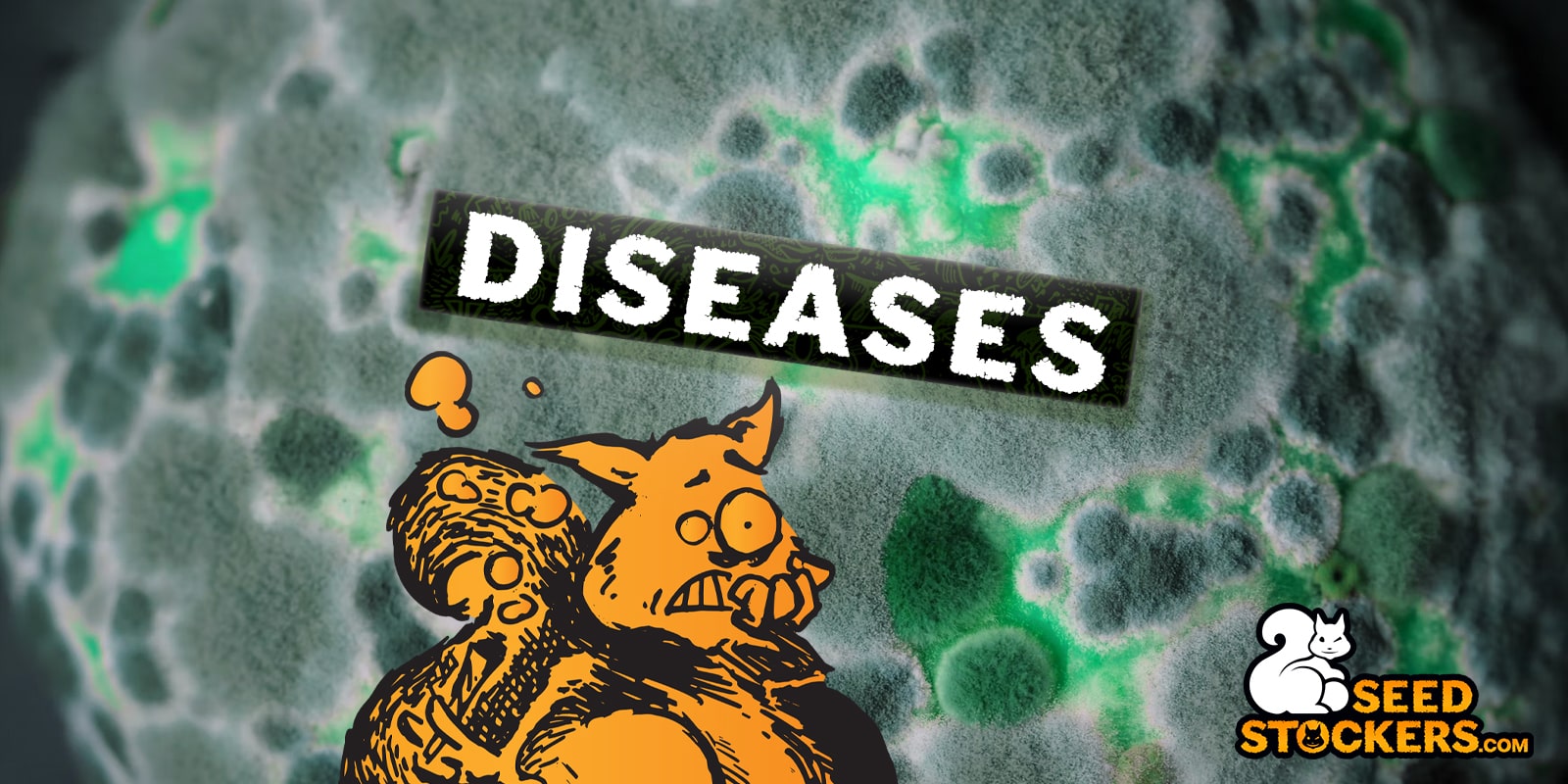 cannabis-plants-diseases