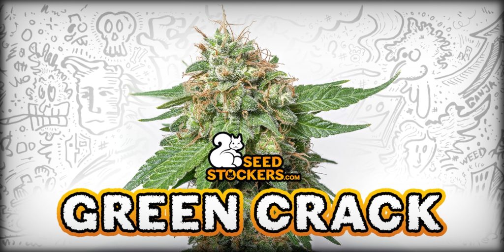 green crack