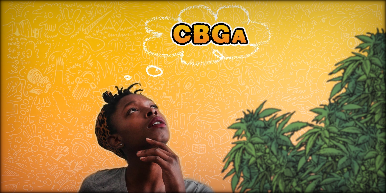 CBDa e CBGa