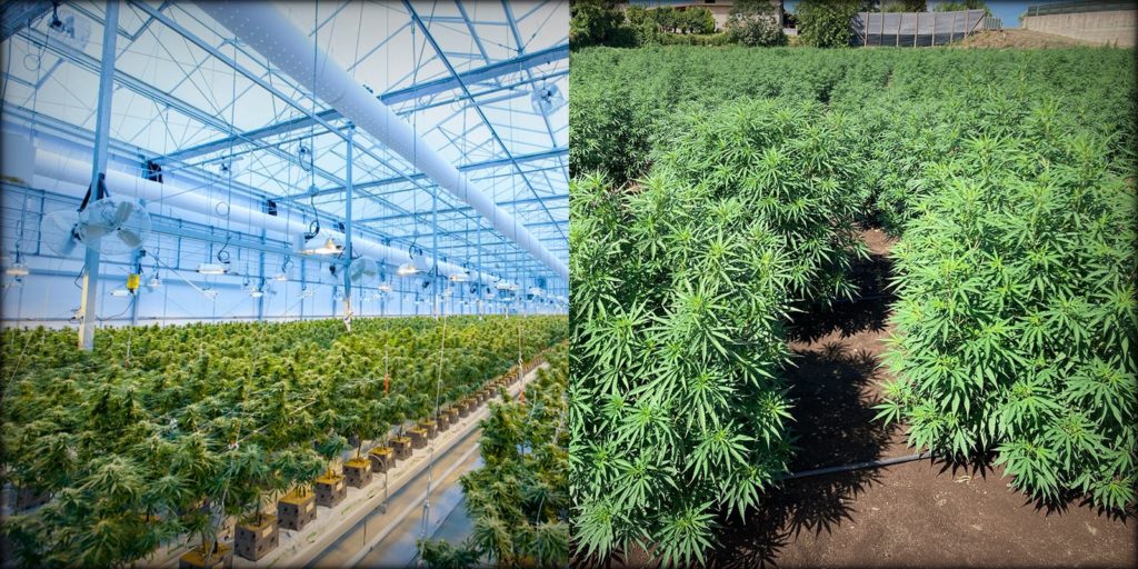 interior vs exterior