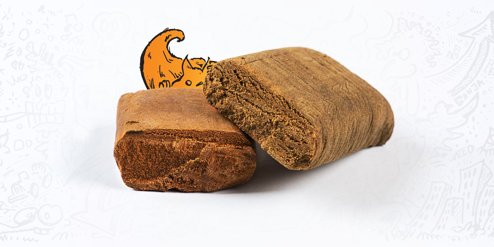 Everything you need to know about hashish