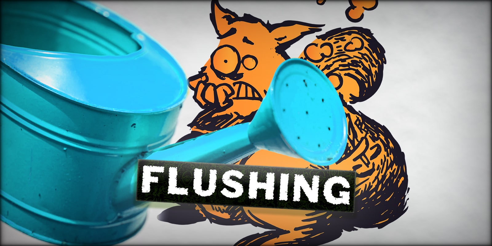 Flushing the roots of your cannabis plants