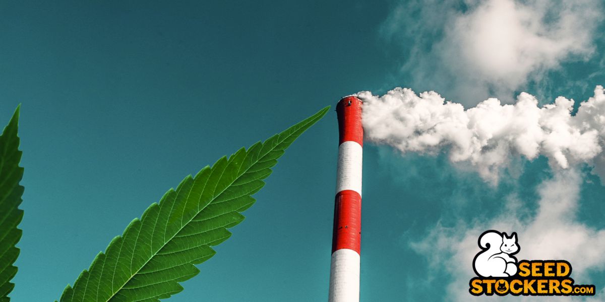 How to reduce the carbon footprint of indoor cannabis grows