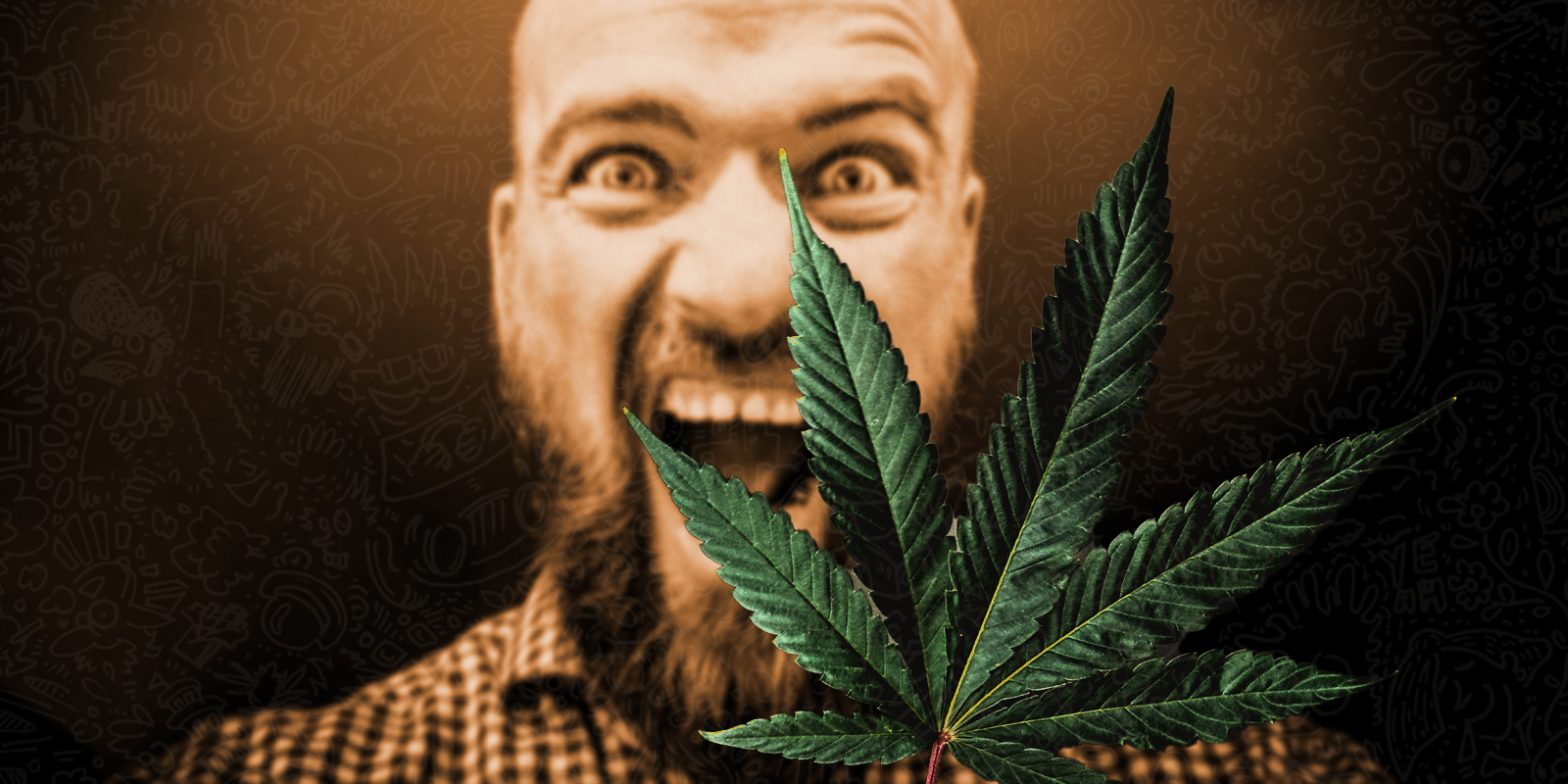 Nutrient excesses with cannabis plants