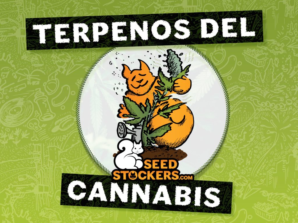 terpenos cannabis terpenos cannabis