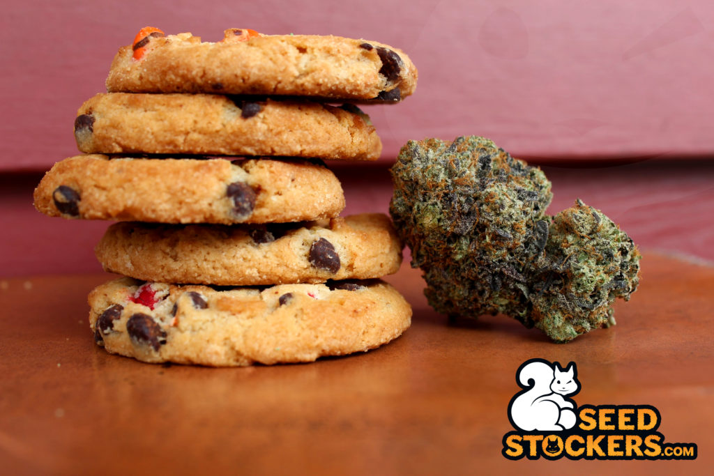 diferencia entre sativa e indica