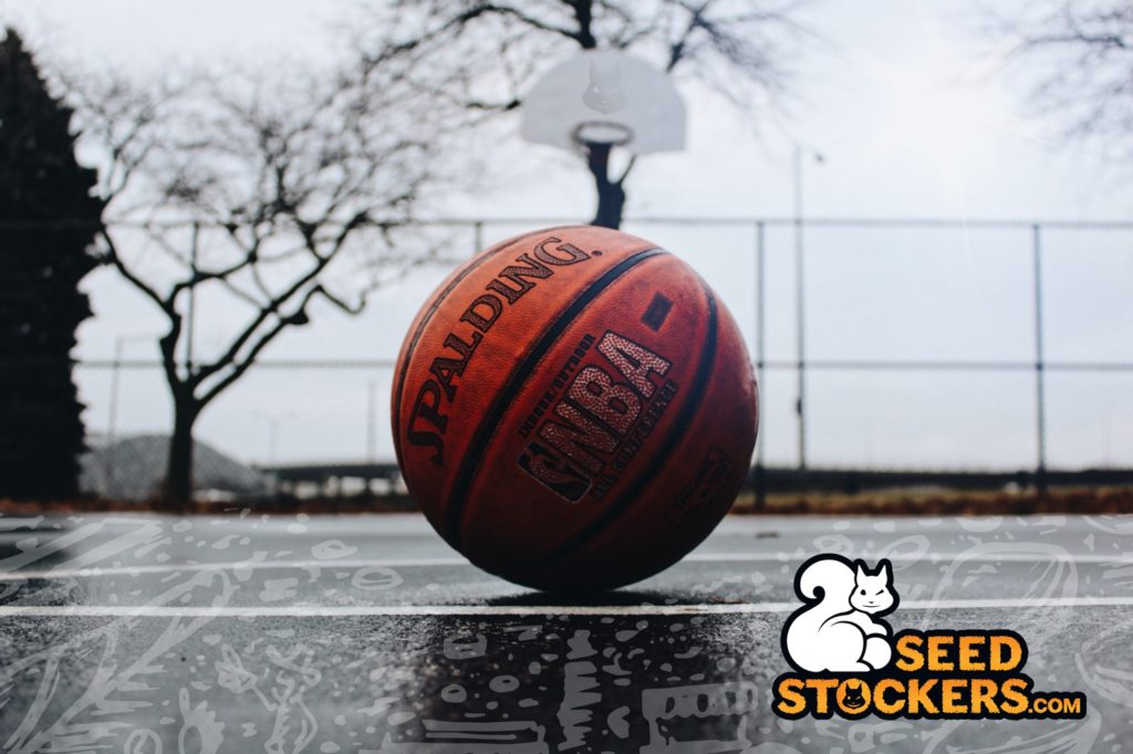 pelota nba